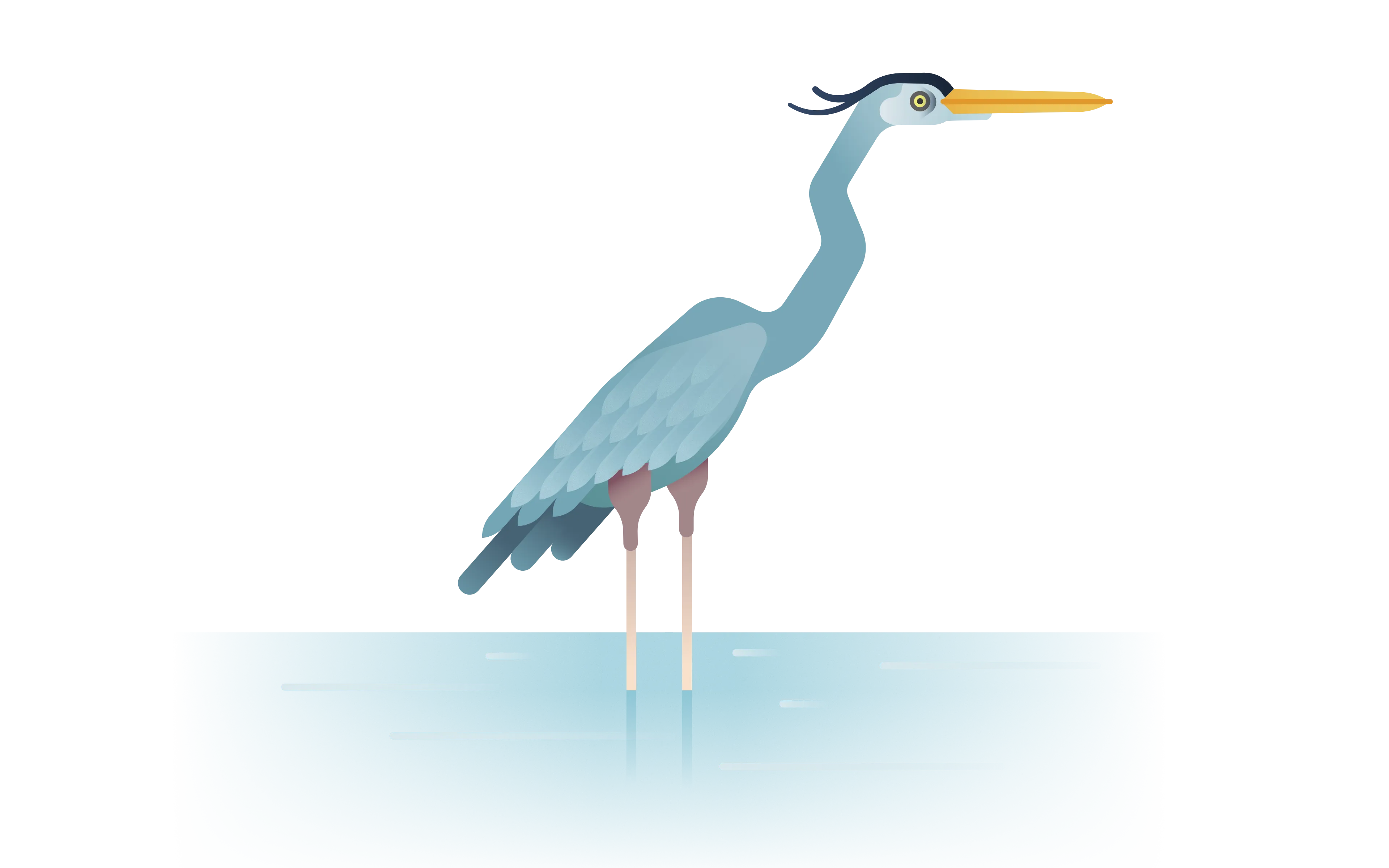 heron illustration