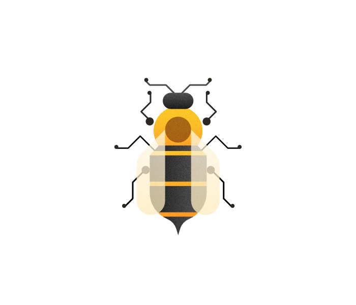 Illustration of the drone bee from the top
