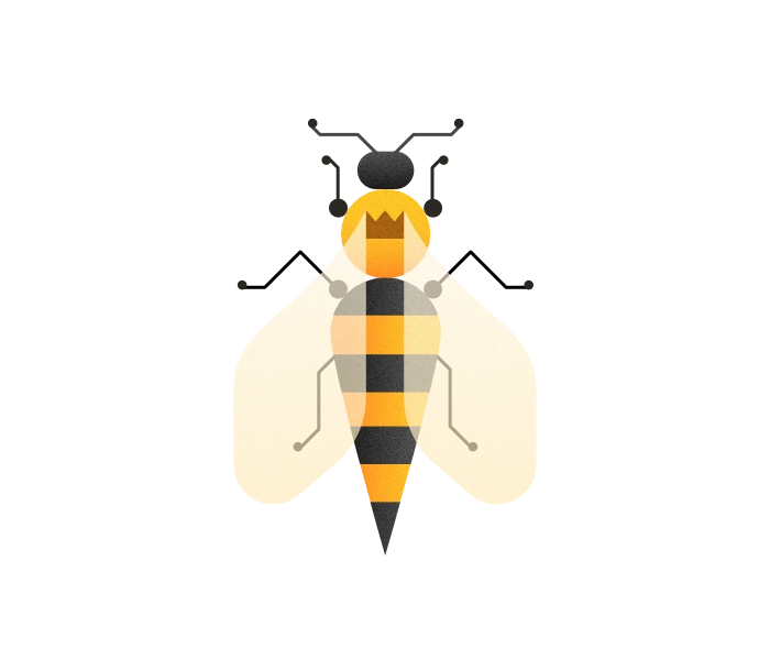 Illustration of the queen bee from the top