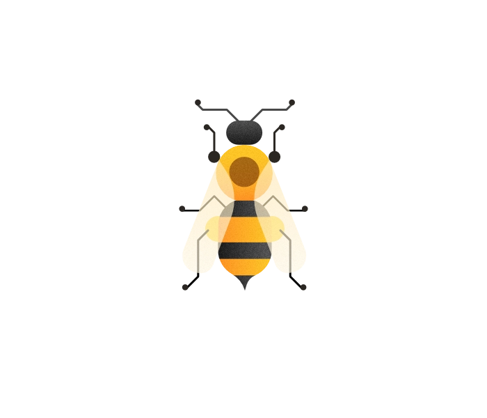 Illustration of the worker bee from the top