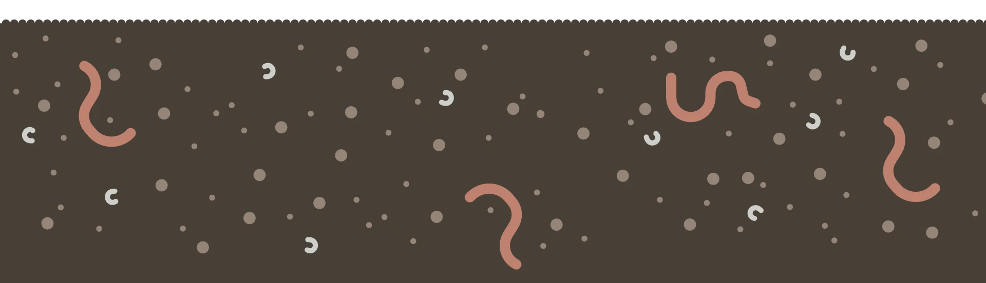 The process of making mushrooms illustrated in various steps