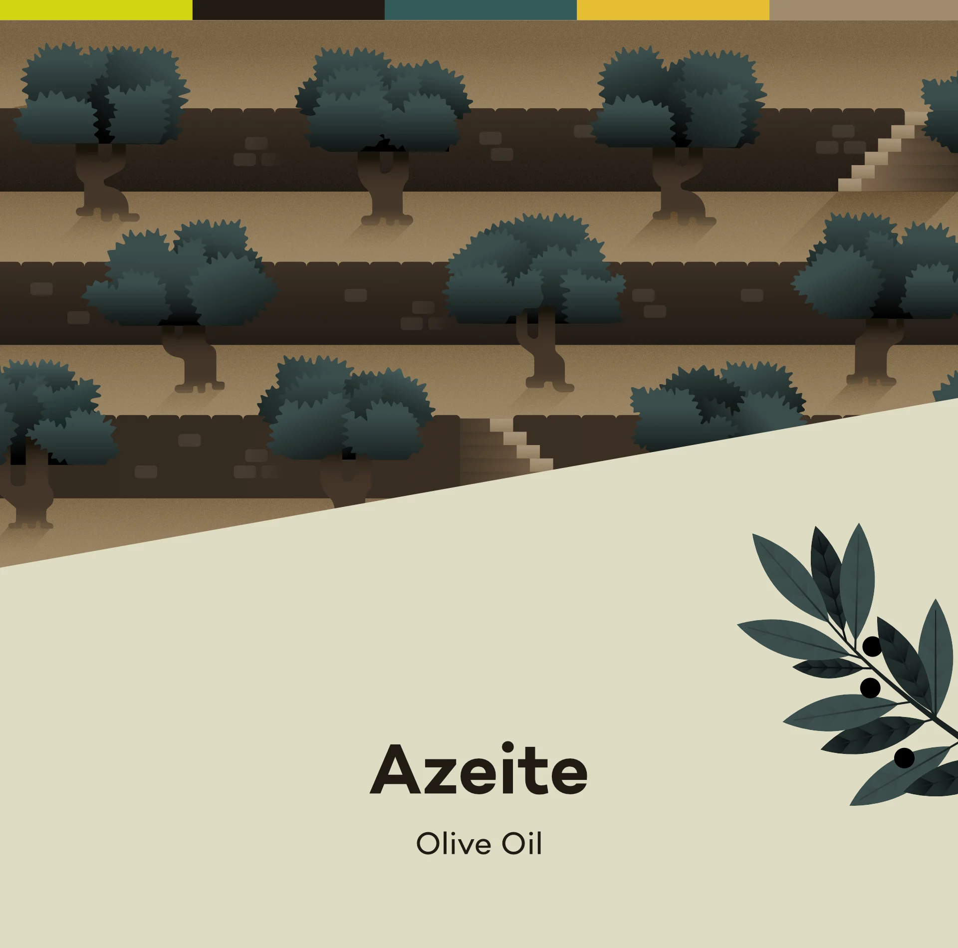 The process of making olive oil illustrated in various steps