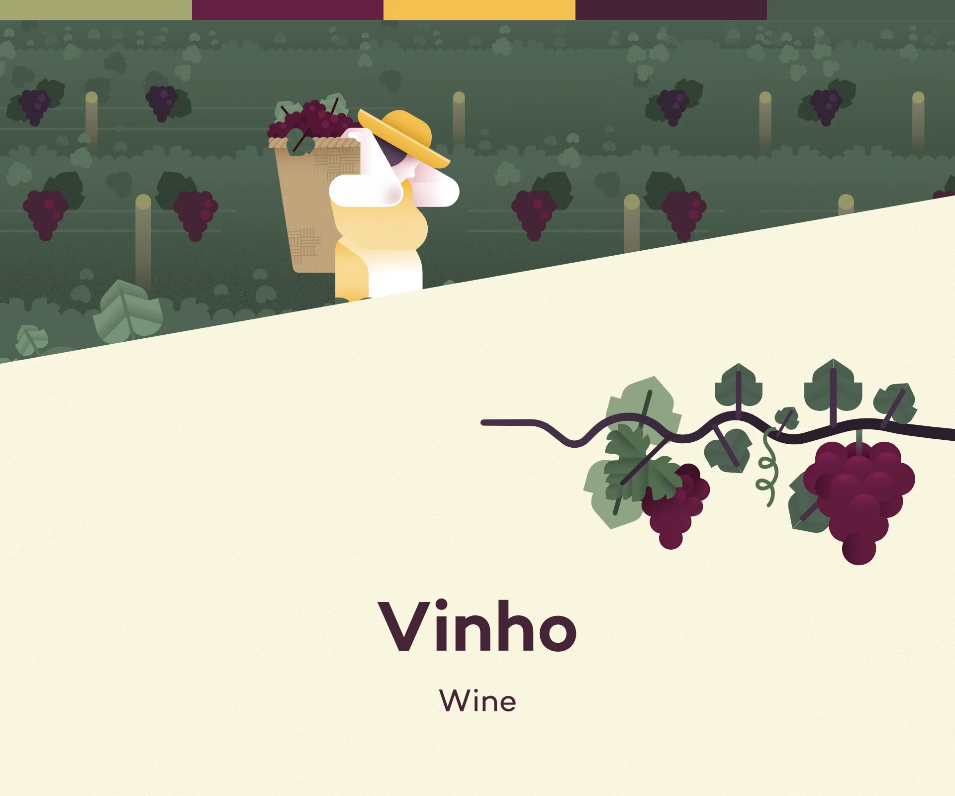 The process of making wine illustrated in various steps