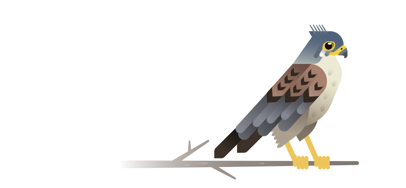 The Fauna of Montesinho